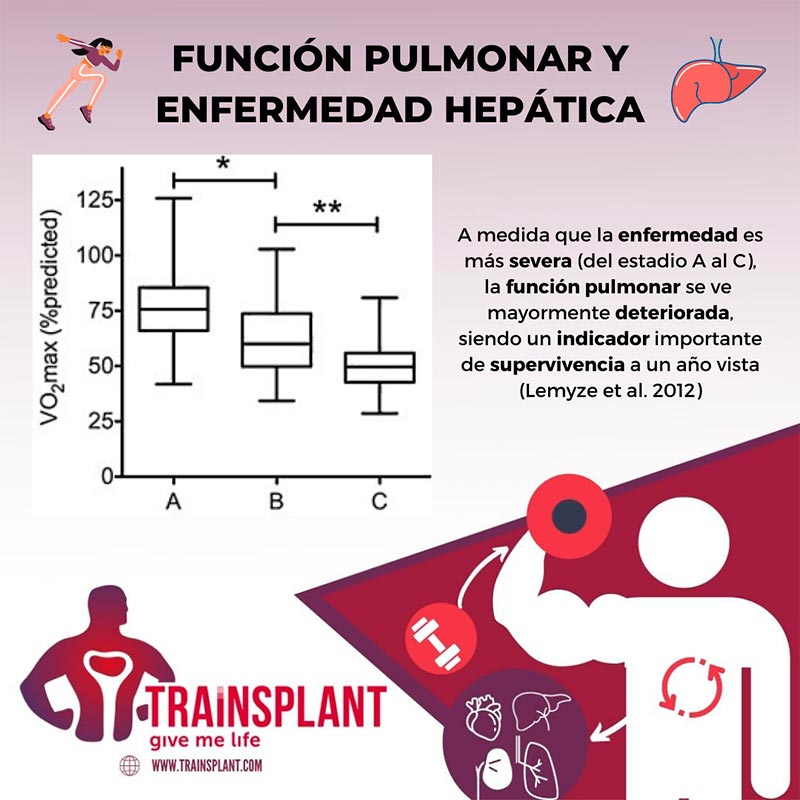 Relación entre la función pulmonar y la enfermedad hepática terminal